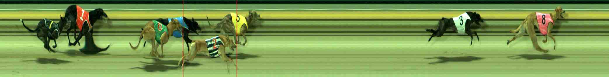 Photo finish for Sale Race 9