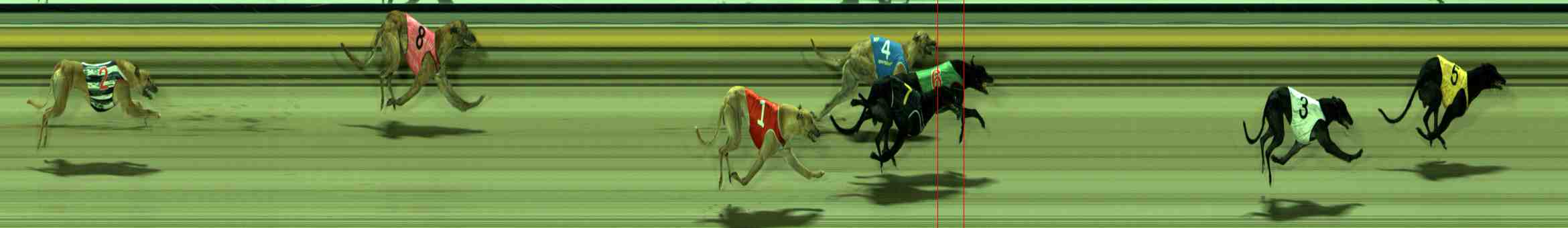 Photo finish for Sale Race 10