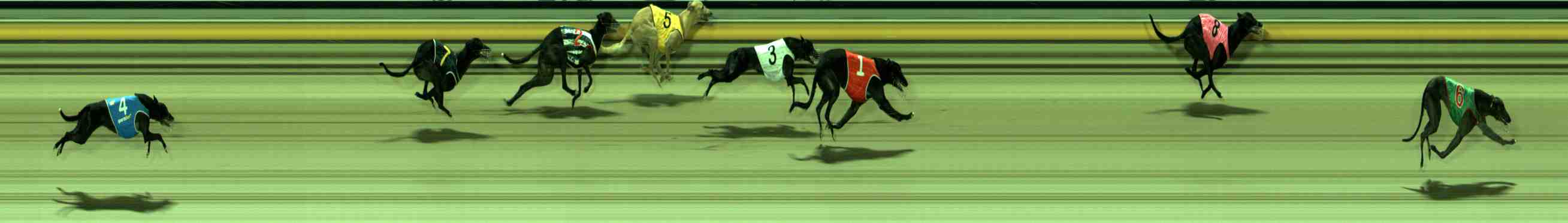 Photo finish for Sale Race 11