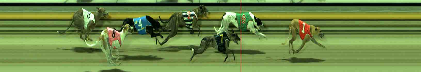 Photo finish for Sale Race 12