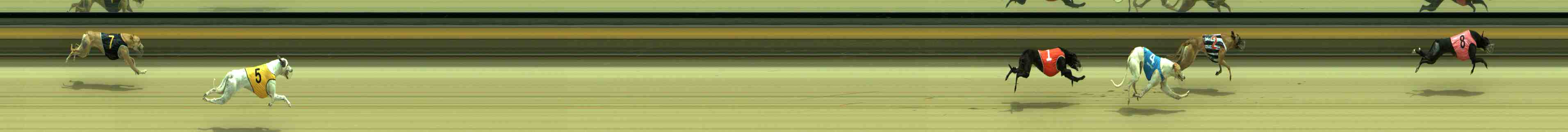 Photo finish for Sale Race 2