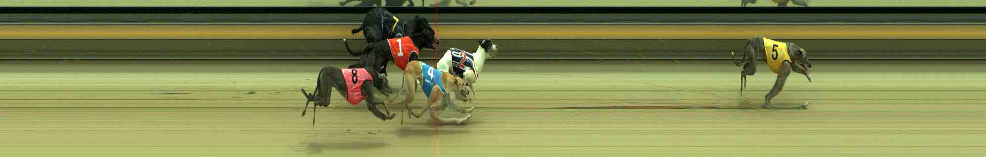 Photo finish for Sale Race 3