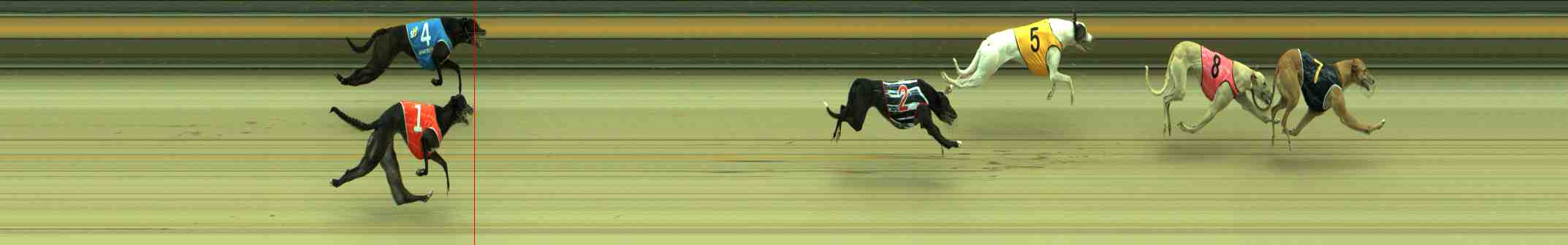 Photo finish for Sale Race 4