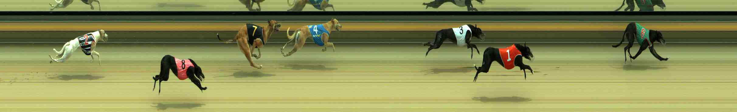 Photo finish for Sale Race 5