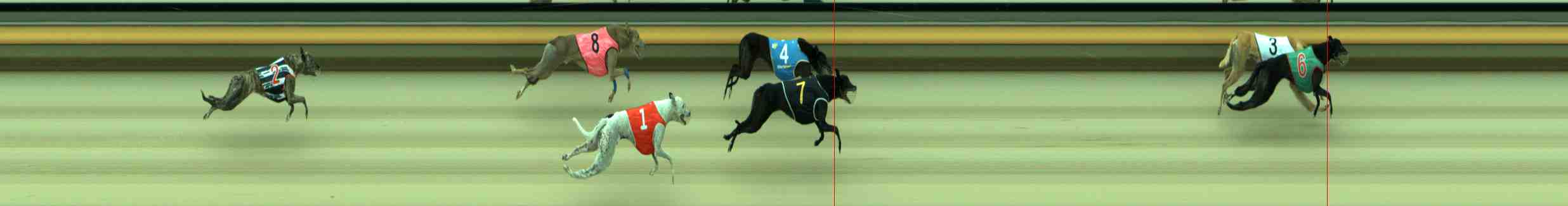 Photo finish for Sale Race 6