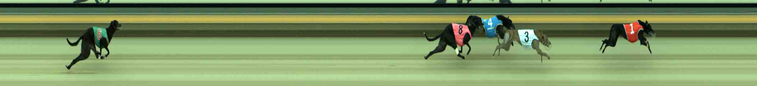 Photo finish for Sale Race 7