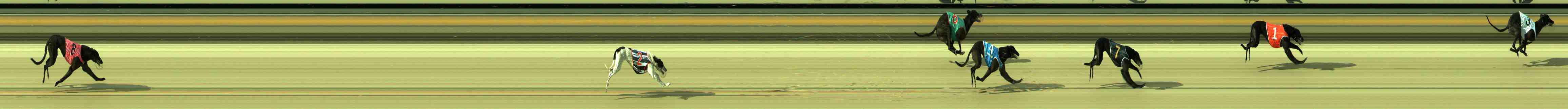 Photo finish for Sale Race 2