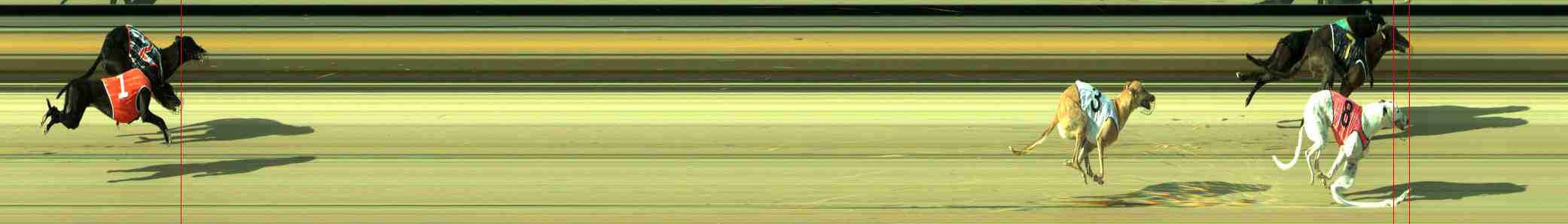 Photo finish for Sale Race 3