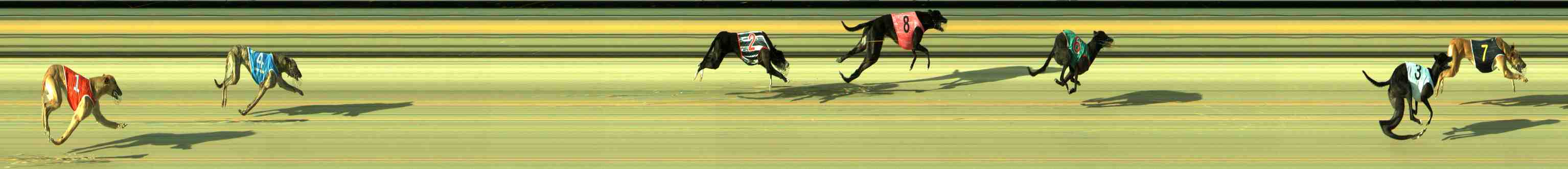 Photo finish for Sale Race 4