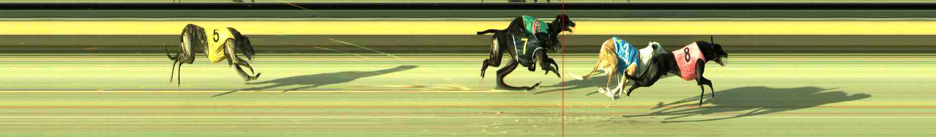Photo finish for Sale Race 5