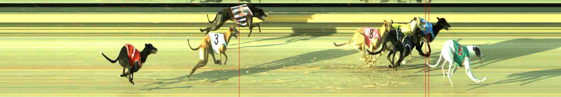 Photo finish for Sale Race 6