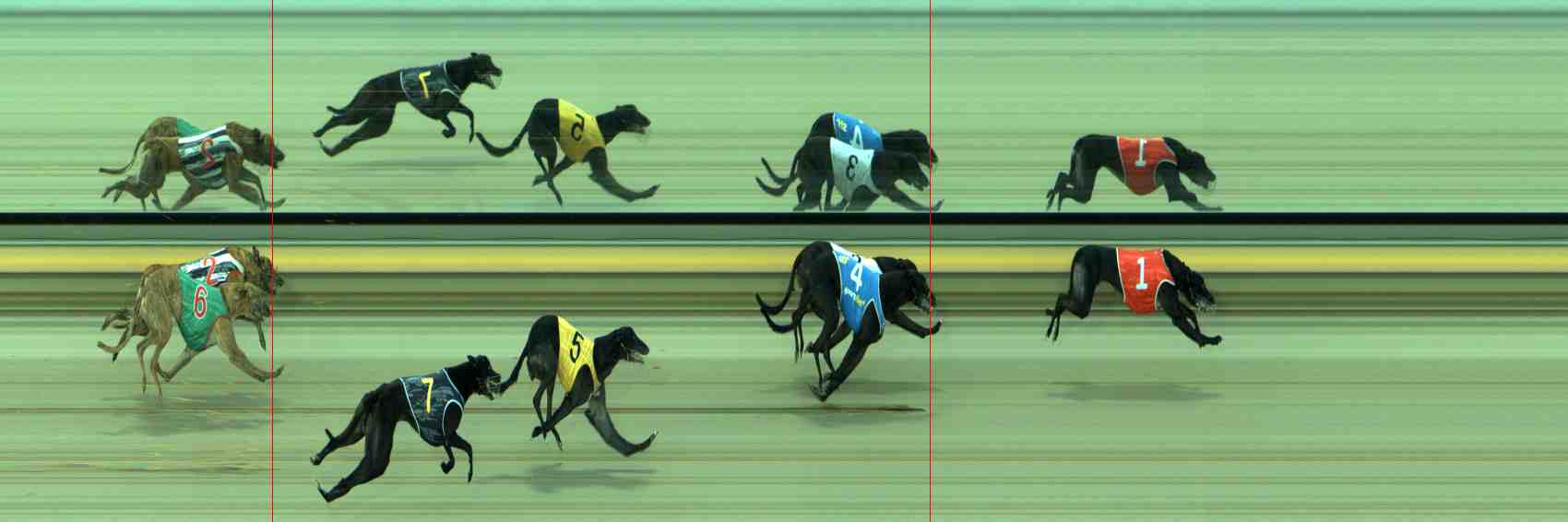 Photo finish for Sale Race 7