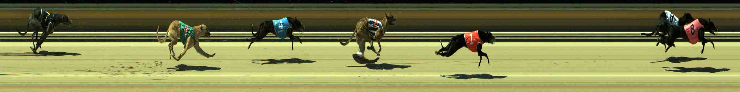 Photo finish for Sale Race 2