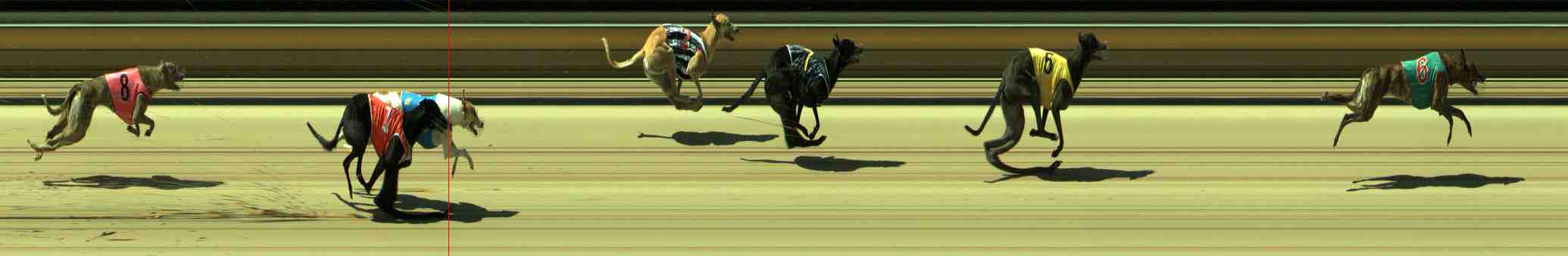 Photo finish for Sale Race 3