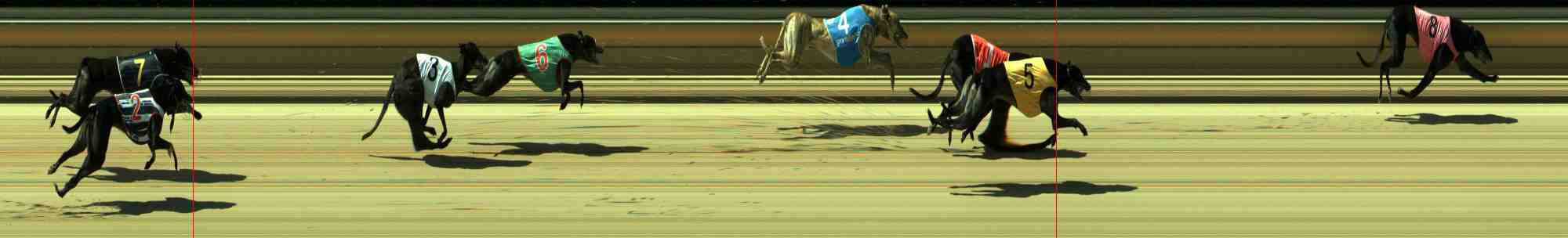 Photo finish for Sale Race 4