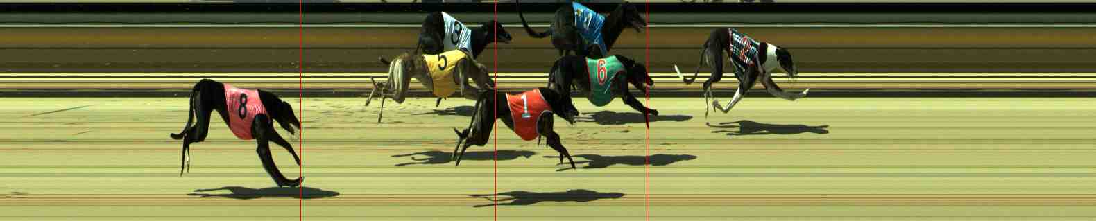 Photo finish for Sale Race 5