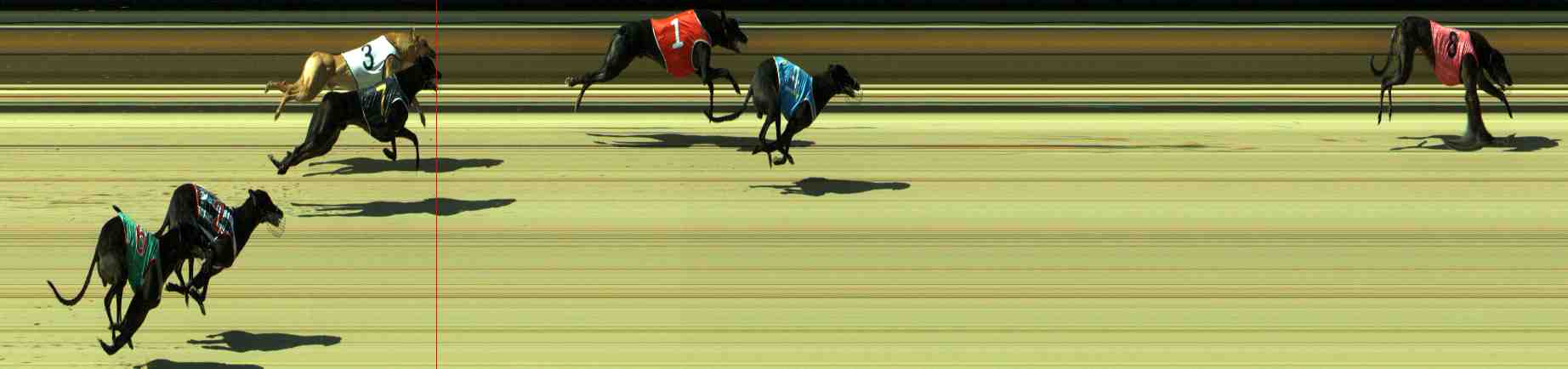 Photo finish for Sale Race 6