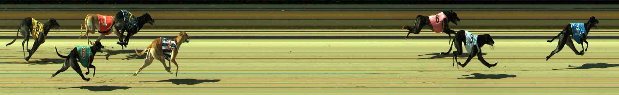 Photo finish for Sale Race 7