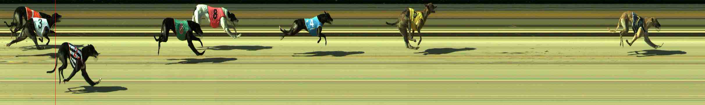 Photo finish for Sale Race 9