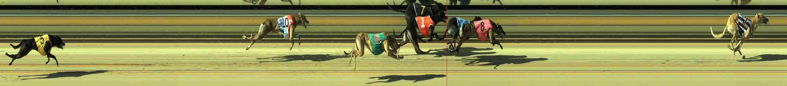 Photo finish for Sale Race 10