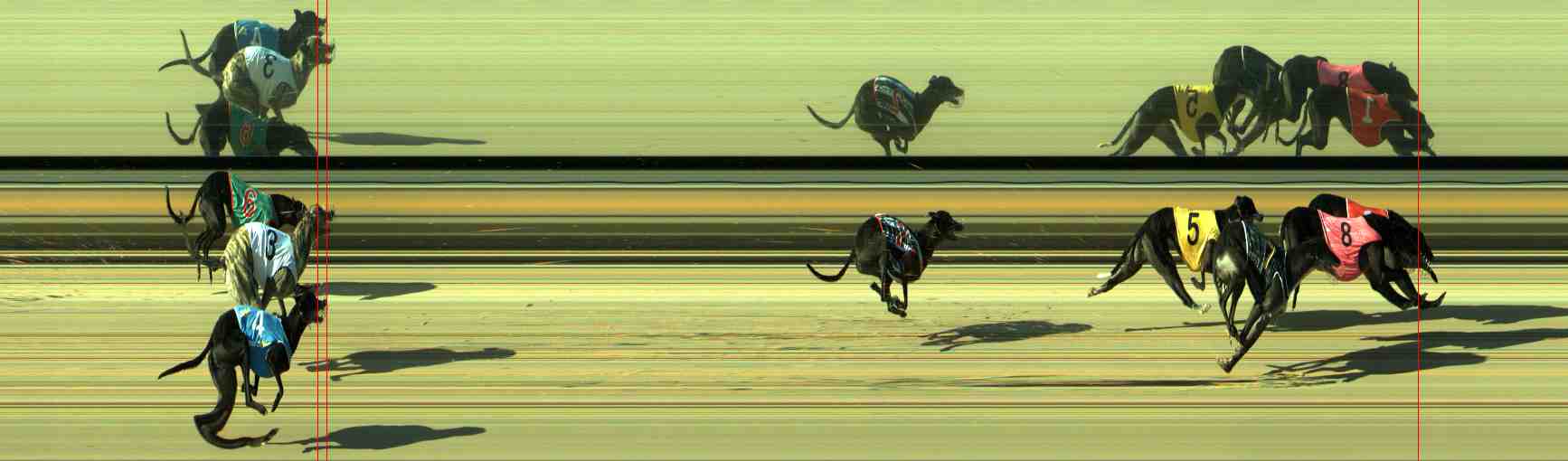 Photo finish for Sale Race 11