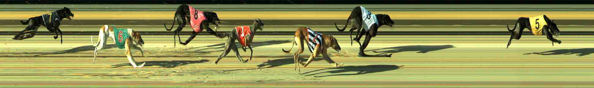 Photo finish for Sale Race 12
