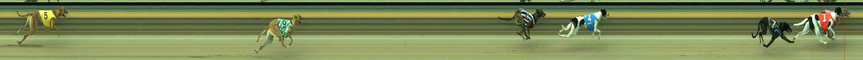 Photo finish for Sale Race 2