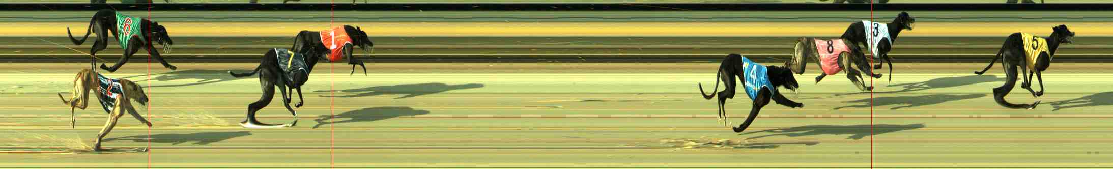 Photo finish for Sale Race 4