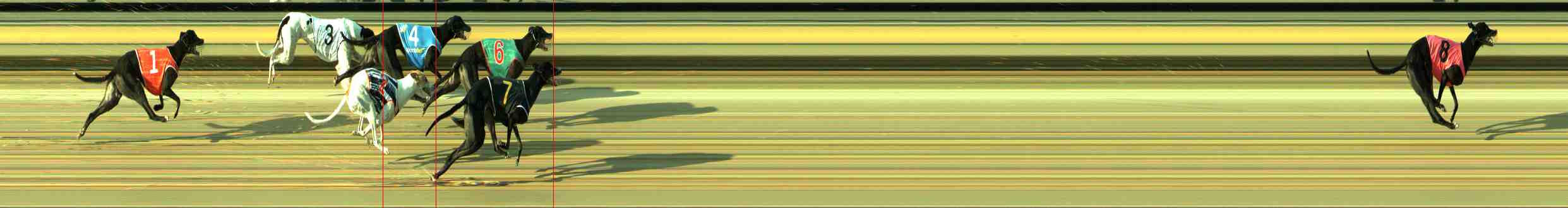 Photo finish for Sale Race 5
