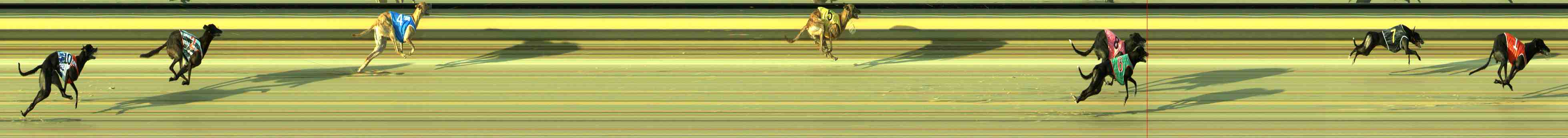 Photo finish for Sale Race 6
