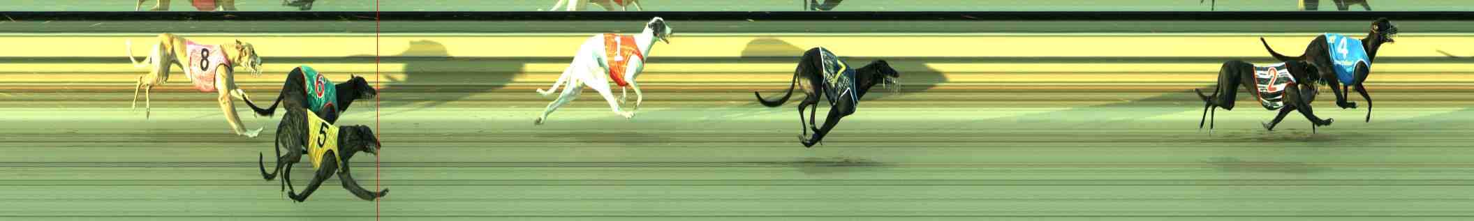 Photo finish for Sale Race 7