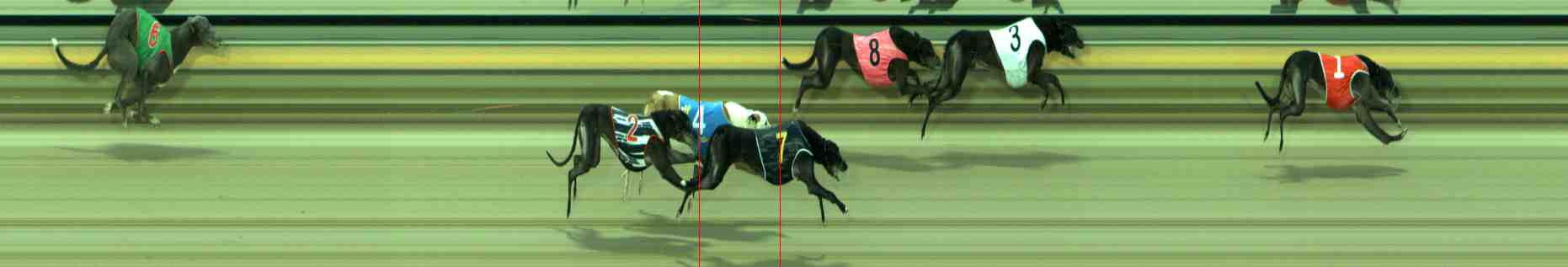 Photo finish for Sale Race 9