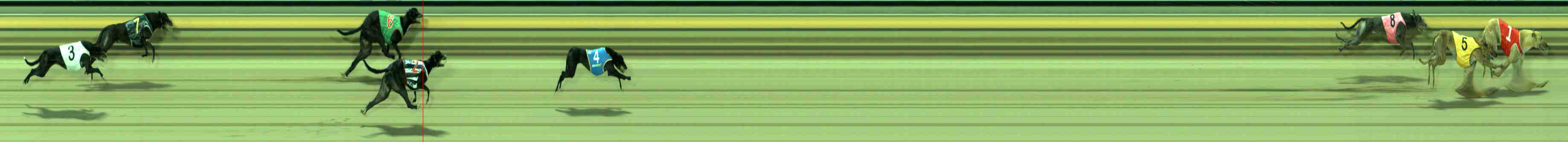 Photo finish for Sale Race 10