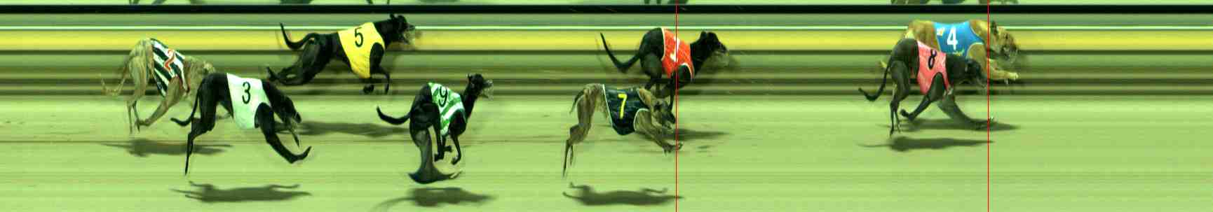 Photo finish for Sale Race 11