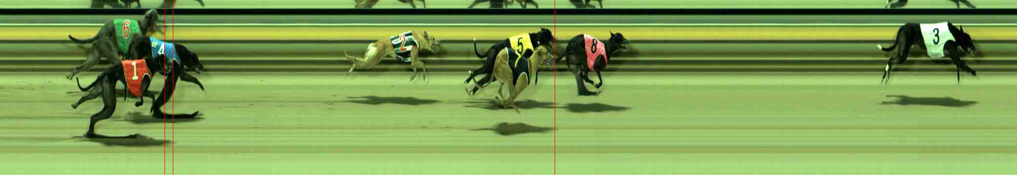 Photo finish for Sale Race 12