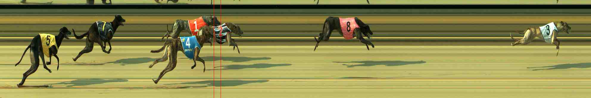 Photo finish for Sale Race 2