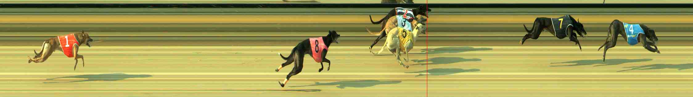 Photo finish for Sale Race 3