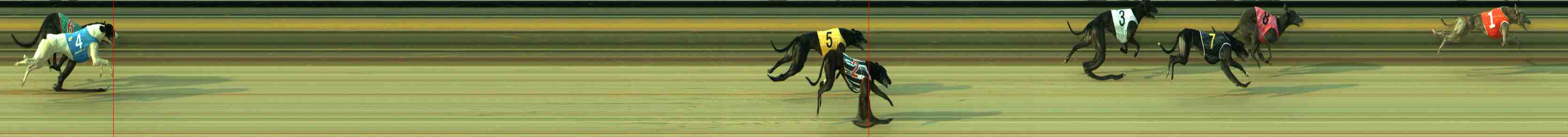 Photo finish for Sale Race 4