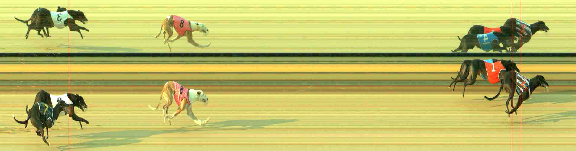 Photo finish for Sale Race 5