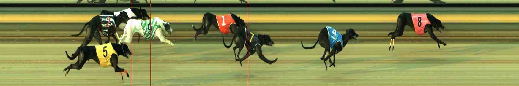 Photo finish for Sale Race 6