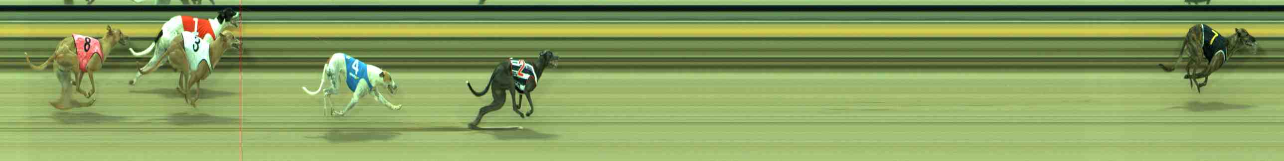 Photo finish for Sale Race 8