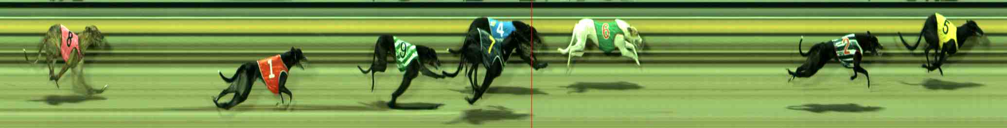Photo finish for Sale Race 12