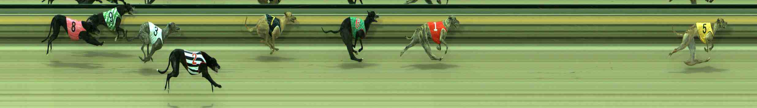 Photo finish for Sale Race 3
