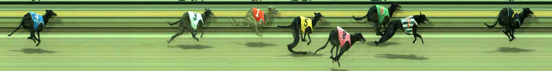 Photo finish for Sale Race 5