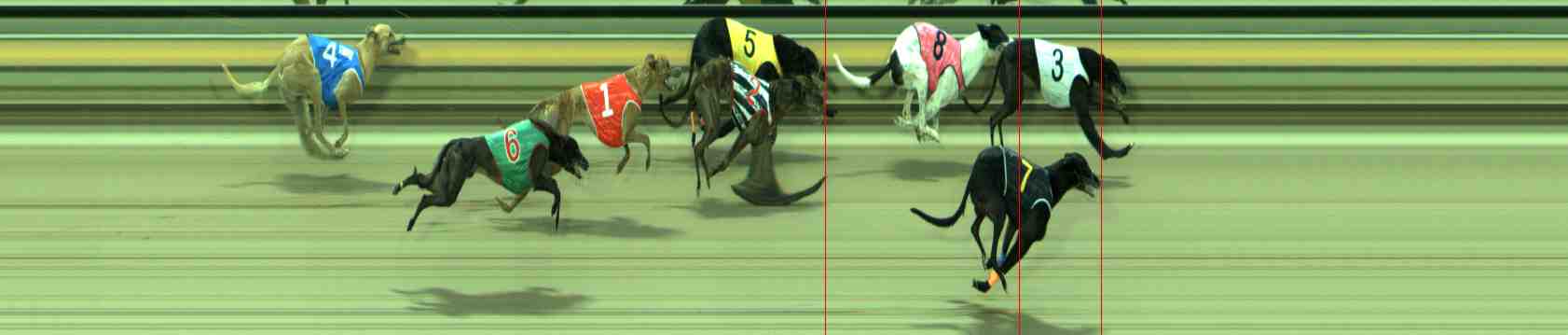 Photo finish for Sale Race 7