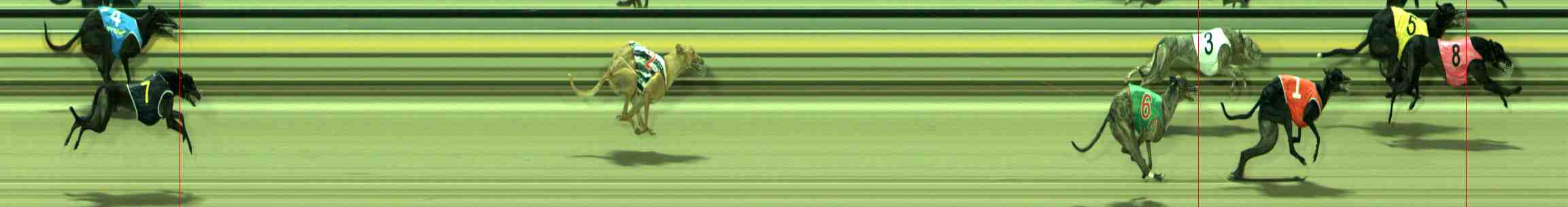 Photo finish for Sale Race 8