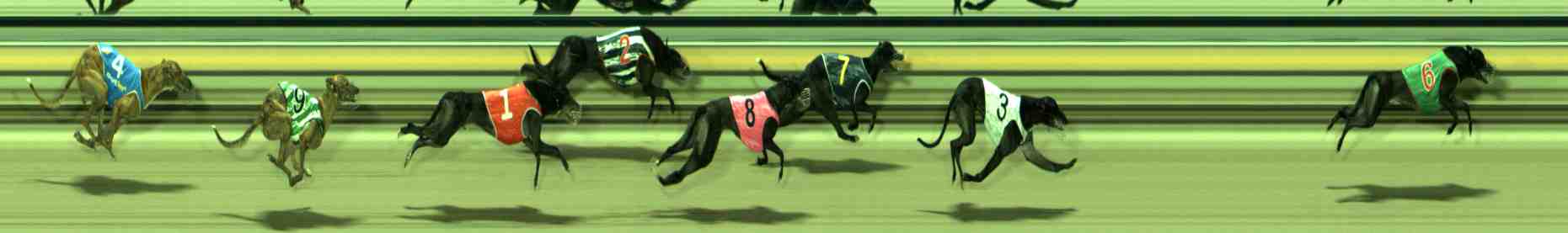 Photo finish for Sale Race 10
