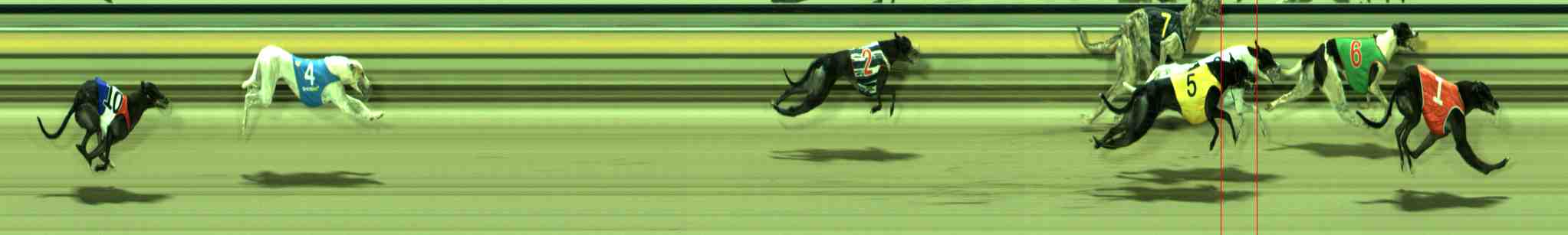 Photo finish for Sale Race 11