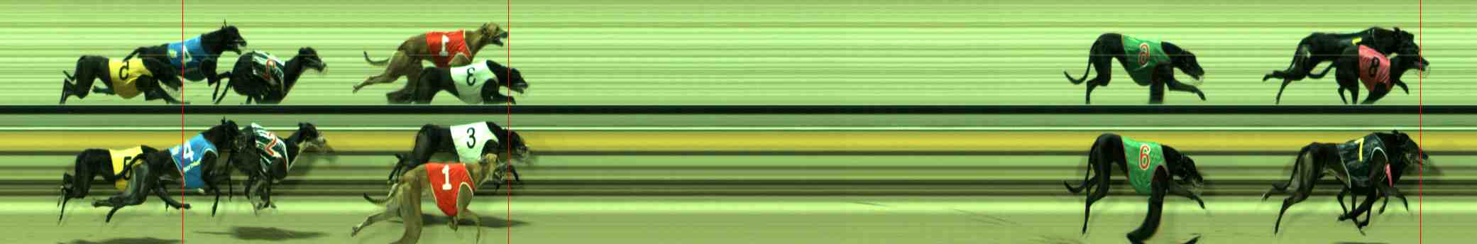 Photo finish for Sale Race 12