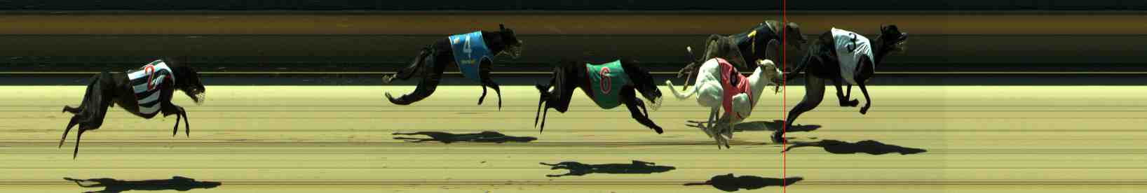 Photo finish for Sale Race 2